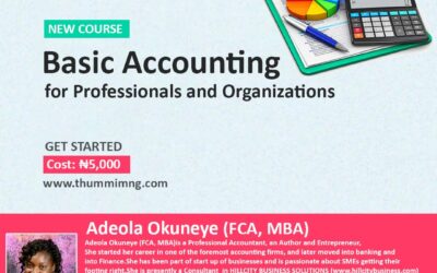 Basic Accounting for Professionals and Organizations